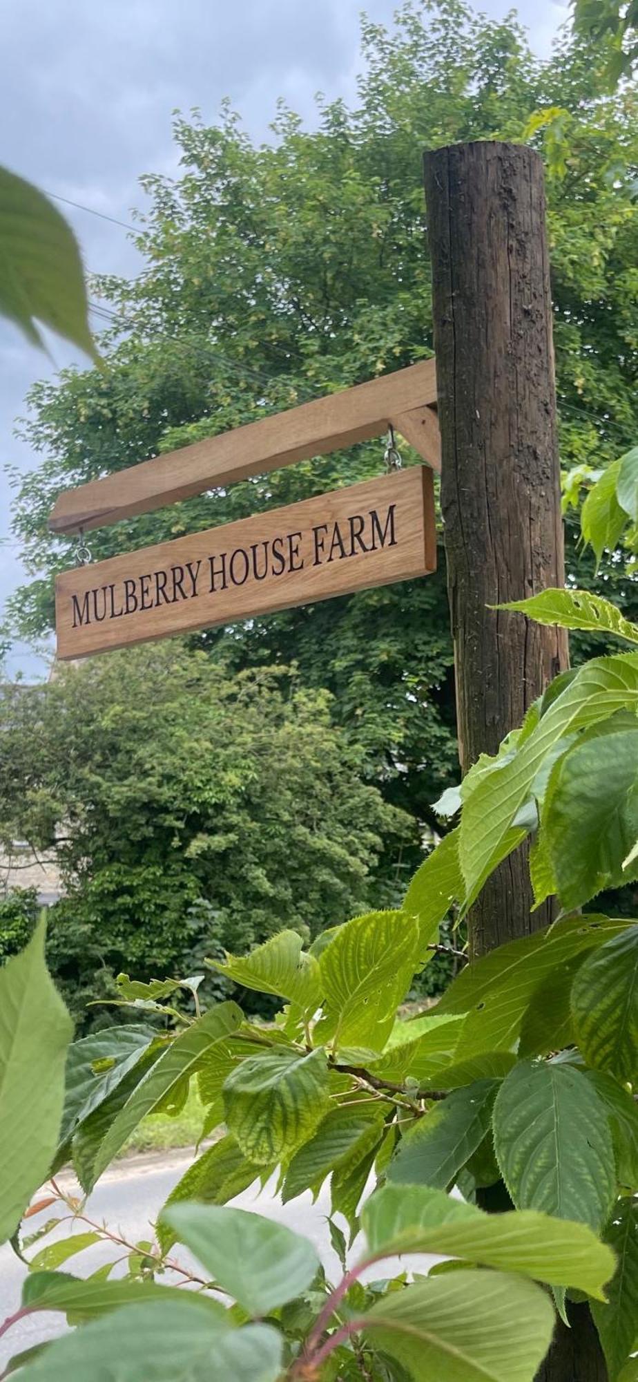 Mulberry House Farm The Garden Room Chippenham  Extérieur photo
